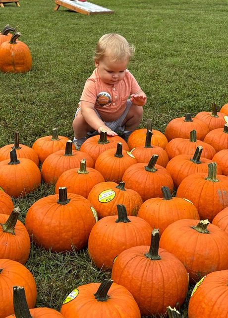 Pumpkin Patch