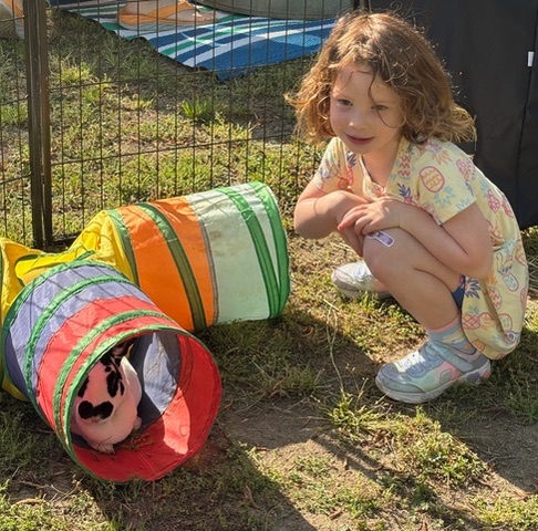Bunny Guest At Petting Zoo 4 19 2025